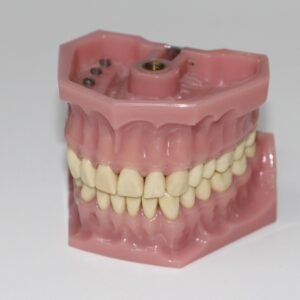 dental prosthesis, artificial teeth, dentition, dentist, dental instruments, dental equipment, dental office, dental doctor, repair teeth, meshing, tooth grinding instruments, tooth drill attachment, teeth cleaning, tooth repairs, treat teeth, brush teeth, check teeth, dental prosthesis, artificial teeth, artificial teeth, dentist, dentist, dentist, dentist, dentist, teeth cleaning, teeth cleaning, teeth cleaning